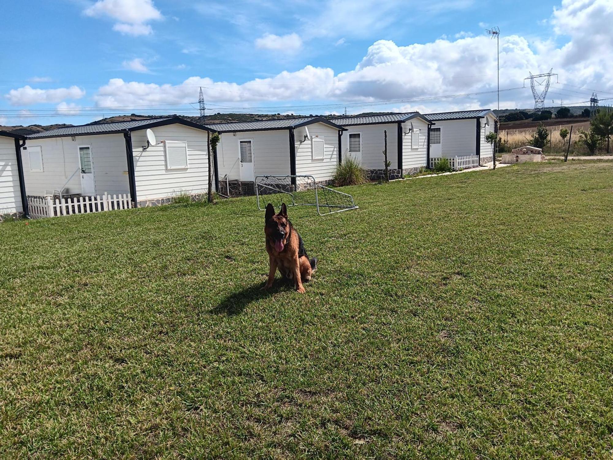 Era 124 Apartamento Zafra de Záncara Exterior foto